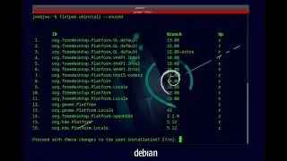 Find Flatpak Application ID And Delete - Ubuntu 22.04