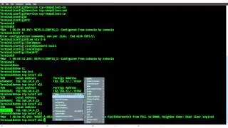 TCP Keepalive on Cisco IOS