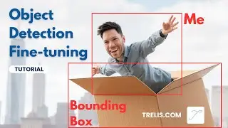Object and Bounding Box Detection  Vision Fine tuning