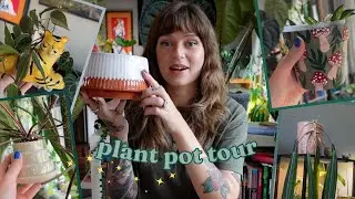 a tour of my plant pots 🪴🍄🎨 my faves, styling inspo, + where to get them