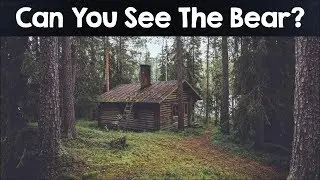 Nobody Can See All The Hidden Animals । Optical Illusions । Brain Teasers