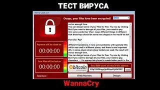 Вирус WannaCry - Тест вируса WannaCry на виртуальной машине