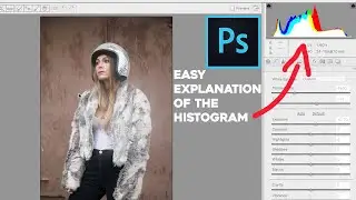 How to use the HISTOGRAM in PHOTOSHOP