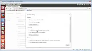Enable/Disable JavaScript in Chromium web browser (LINUX)