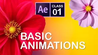 Basic Animations in After Effects - Tutorial for Beginners