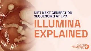 Early Baby's Health screening: NIPT Blood Test | Safe & Precise