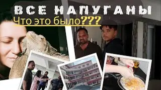ВЕСЬ ДОМ НА УШАХ ТРЕВОЖНОЕ УТРО 
