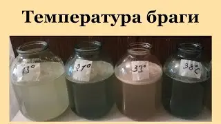 Температура браги.