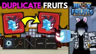 How To DUPLICATE SPIRIT FRUIT! 😇😈 | Blox Fruits