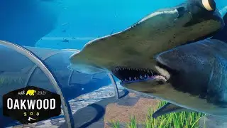 Working SHARK TUNNEL In Planet Zoo! 🦈 | Planet Zoo Mod Zoo Speedbuild