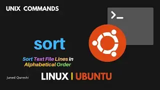 How to Sort Text File Lines in Alphabetical Order | Alphabetical Sort | sort Command in Linux