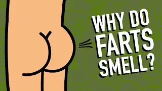 Why do Farts Stink?