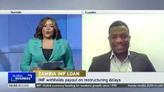 IMF withholds second payout to Zambia following restructuring delays
