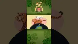 The Tiger Is A Large Orange & Black Striped Cat! | KLT WILD #shorts