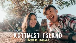 Guide to Rottnest Island in Western Australia ft. Quokkas | The Travel Intern