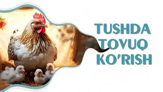 Tushlar tabiri - Tushda tovuq ko'rish