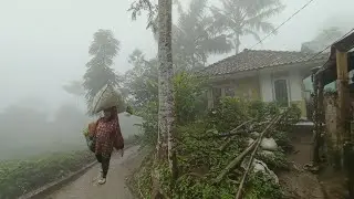 Kampung Ini Mendadak Viral, Suasana Pagi Yang Tenang di Pedesaan Sunda, Hujan dan Kabut Nambah Indah