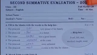 class 3 2nd evaluation test 2024/English/class 3 second unit test 2024/class 3 2nd unit test/class 3