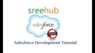 2 Salesforce Consulting -  CRM Introduction