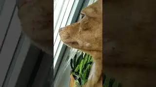 Красивая улица