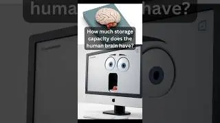 How much is The Human Brain's Storage Capacity?