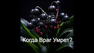 КОГДА ПОРЧА НА СМЕРТЬ СРАБОТАЕТ???