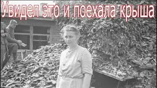 Увидел это и поехала крыша. Письмо советского офицера . Военные истории  2023