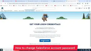 How to change Salesforce account password?\ how to reset your salseforce account password