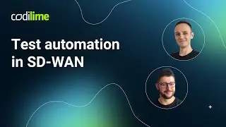 Test automation in SD-WAN | CodiLime