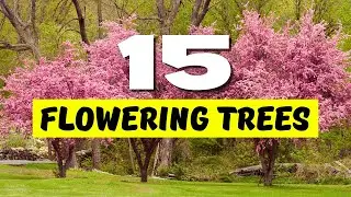 TOP 15 BEST Flowering Trees for a STUNNING Garden 😍 Make Your Yard SHINE! ✨