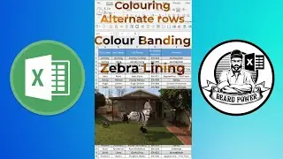 Colouring Alternate rows | Colour Banding | Zebra Lining in Excel