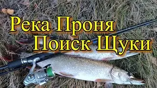Поиск щуки по реке Проня.