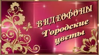 🌸Натуральные видеофоны. Футажи. Цветы🌸