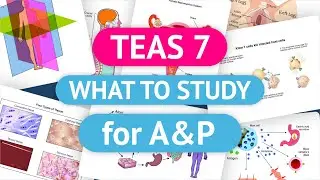 TEAS Test Prep for the TEAS 7 Science Section | Everything to Know for Anatomy and Physiology