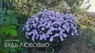 Георгий Шлифер 