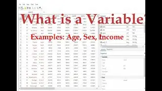 What is a variable?