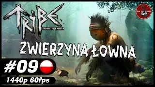 Zmierzmy się ze zwierzyną || #9 || Tribe: Primitive Builder