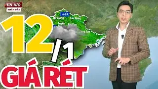 Thời Tiết Hôm Nay và Ngày Mai 12/1 | Dự báo thời tiết đêm nay mới nhất