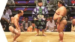 Takanoyama! || Amazing 1/2 Versus! || [Sumo/Czech 🇨🇿]