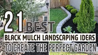 21 Best Black Mulch Landscaping Ideas To Create The Perfect Garden