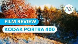 Kodak Portra 400 Review - 