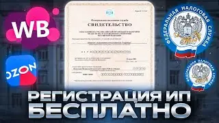 Как открыть ип в 2023 году бесплатно: Проверенный способ