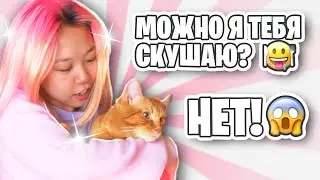 Симбу чуть не скушал хомячок😱 | Едем в гости к Yolo House