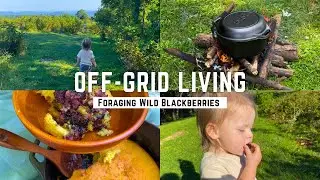 Living Off Grid in the Appalachian Mountains of Virginia | VLOG