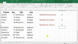 Les fonctions NB.SI et NBVAL (Tutoriel Microsoft Excel)