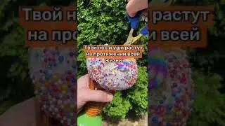 Эти растения могут тебя убить!