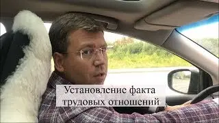 Установление факта трудовых отношений: трудовые споры, суд, помощь адвоката