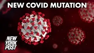 New coronavirus mutation causes outbreaks to spread more quickly | New York Post