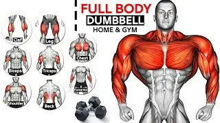 Most Effective Dumbbells Workout for Biceps Triceps Shoulder Forearms