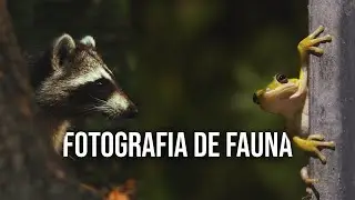 5 Tips para Principiantes de FOTOGRAFIA de NATURALEZA